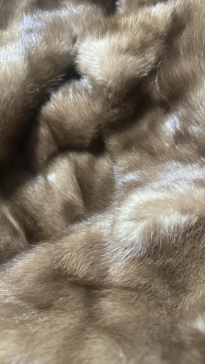 太满意这次在挖煤姬的购貂体验了！ems运送也很稳妥。客服响应快、处理问题专业又耐心，体验特别好。包裹里三层外三层的泡沫防护，拆箱时安全感满满。真心为挖煤姬点赞，以后购物就认准这里啦，值得长期信赖！