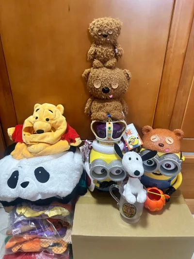 这些是我在挖煤姬挖的迪士尼和环球影城的周边，有毛衣、着替、爆米花桶、帽子、毛绒，种类很多。这单是把五个小包裹合并一起发的海运，还挺稳，审核也顺利，一个多月就到手啦，开心！