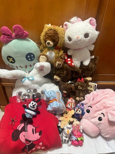 晒一下我在挖煤姬淘到的宝贝，衣服、帽子围巾手套，还有超可爱的毛绒玩具！重点表扬这个大兔耳朵围巾帽子手套一体，也太萌了吧！毛毛摸起来又白又软，手感绝了！米奇红色开衫外套挺亮眼。三个订单合箱走的海运，速度很稳，收到时箱子完好无损，四角尖尖，稳妥