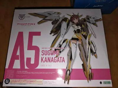 这次呢，又从挖煤姬在日拍上蹲到了寿屋的白直美和超合金dx的yf-27套装版。都是全新未开封的好货，不得不感慨国内倒爷猖獗。这次因为东西有点重还是选择了海运，箱子的也是加了填充物，也是很给力，箱子依旧八角尖尖。挖煤姬当属海淘的好去处。