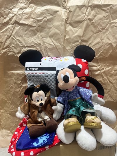 为了这箱米奇，我选择了“瞬移”，实在太喜欢这单了，一秒钟都不想等，果断放弃合单，直奔竹蜻蜓，结果就是很快收到啦，这速度真的棒
包装依旧是稳妥，里三层外三层，开箱看到迪士尼周边，真是太可爱了，这个米奇手纸垫，难道不可爱吗