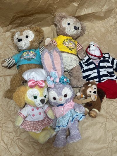 瞧我的挖煤姬战绩，这次走的挖煤姬的竹蜻蜓专线，两单迪士尼毛绒合箱，四只大毛绒和一只小毛绒，竹蜻蜓速度yyds！包装也超给力，开箱幸福感拉满！谁收到谁迷糊！