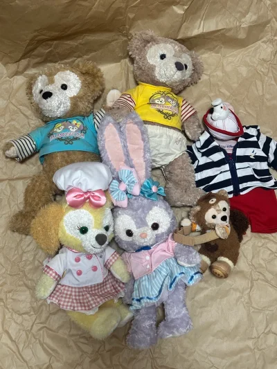 瞧我的挖煤姬战绩，这次走的挖煤姬的竹蜻蜓专线，两单迪士尼毛绒合箱，四只大毛绒和一只小毛绒，竹蜻蜓速度yyds！包装也超给力，开箱幸福感拉满！谁收到谁迷糊！