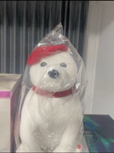 挖煤姬还是一如既往的好用！经济实惠，物流方便快捷，购物界面简单明了，活动优惠也很多，希望能越办越好，