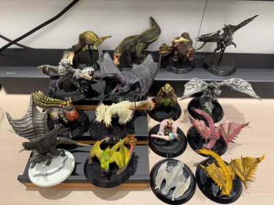 这次大规模海淘稀有款的体验，远超单纯的“收到货物”。从下单那一刻起，心就一直悬着。当看到一个超大、加固的国际箱抵达时，激动难以言表。开箱后，首先映入眼帘的是卖家精心手写的感谢卡和每一只的独立编号说明，这份用心已然值得。逐一检视，所有稀有款的状态都无溶漆、无瑕疵，关节...