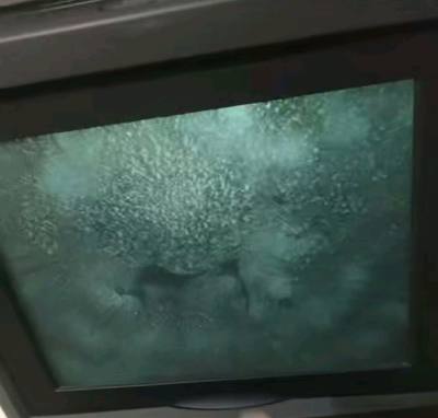 今购得卡西欧带投影电视机，海运物流速度还算快大约二十多天，包装严实完好，没有损坏，就是电视机投影功能有点不正常，后续再观察试试，平台购物比较方便快，会再继续购买，会支持任意门平台购物!