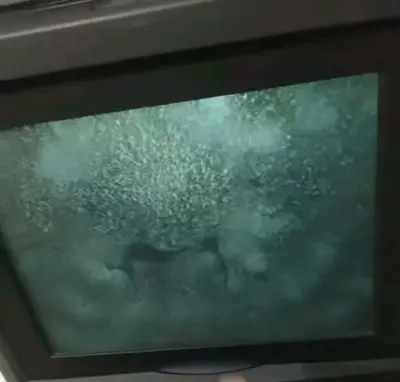 今购得卡西欧带投影电视机，海运物流速度还算快大约二十多天，包装严实完好，没有损坏，就是电视机投影功能有点不正常，后续再观察试试，平台购物比较方便快，会再继续购买，会支持挖煤姬平台购物!