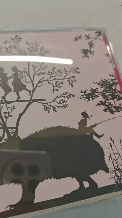 一些冷门碟子只有日本有。日本人非常暖心，贴了感谢的小贴纸并附带了广告。
成色都很好，挖煤姬省事省心，海关效率低，花了快三周到达。