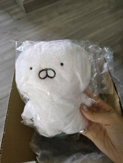 十二月切煤分享