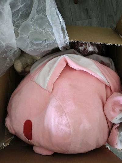 通过挖煤姬在骏河屋切到了喜欢的玩偶，也是吃上好价了，特别开心。玩偶状态都很好而且还有带吊牌的，包装的很严实，特别安心。