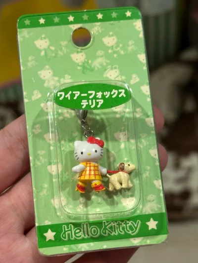 蹲了大半年的遛狗Hello Kitty手机挂件，居然在挖煤姬刷到了！卖家说这是冷门款，发来的时候连包装都没拆，挂绳和小狗玩偶的绒毛都蓬松得像新的一样——另外两个食物系、小毛绒挂件也软乎乎的，细节一点没磨损。

平台搜“ハローキティ レア ストラップ”（Hello K...