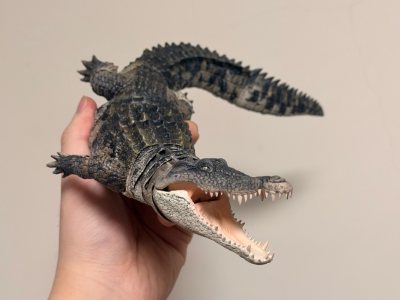 生物大图鉴系列日淘