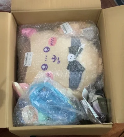 买的恶魔栗子玩偶给我发成了景品啊啊啊，因为是好价所以没有买检品，火速提交了售后申请（处理得还是挺快的）这次物流耗时：9.17号提交审核，9.19号审核通过，9.25号国际物流发货，10.4号正式到手！