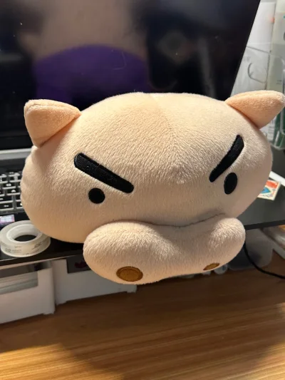 这次切了一只大概30厘米的大毛绒和几个小周边扭蛋，走的可追踪小航空，速度依旧杠杠，都很平安的到达了！