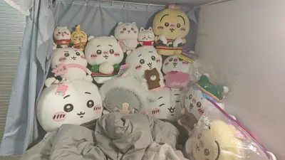 挖煤姬有很多的福利活动 还可以一键搜索关键词+品类（挂件/玩偶/谷子）+成色筛选；热门款设降价提醒，好价秒切不犹豫 重点是切煤的邮费也不是很贵 我是多件合箱+基础加固 价格也不是很贵 这次走的是竹蜻蜓专线 也没有等特别久 大概22-23天左右 宝宝们就可以到家了...