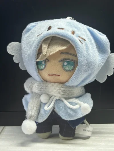 这次走的还是竹蜻蜓线，没有交税挺好的。清关合箱清关稍微等了几天，其他物流挺快的！noa太可爱了哈哈，cd还没听，感觉保存还行～