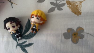 买了喜欢的鬼灭的谷子，很喜欢，软件也很好用，虽然是日文，但是软件内的翻译很准确，没有障碍的可以挑选自己喜欢的谷子