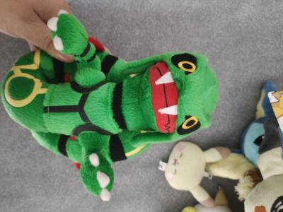 这次买了一大堆别人使用过的宝可梦玩偶，价格还算美丽，准备留下一些自己喜欢的再把别的出掉，就是中古的有点脏需要清洗