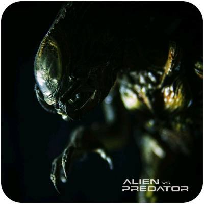 很好，很棒不错，打包非常好，物流发货非常快。多次购物都很愉快，卖家发货也非常快，次日就发货了，物流也相当给力，代购也很快