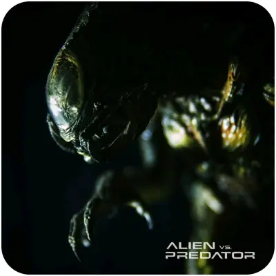 很好，很棒不错，打包非常好，物流发货非常快。多次购物都很愉快，卖家发货也非常快，次日就发货了，物流也相当给力，代购也很快