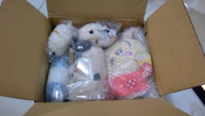 这次用的依旧是竹蜻蜓普通物流，切了满满一箱，有预感这箱子会有很多毛绒，但是当我真正开箱的时候还是震撼了一下，满满当当的一箱子娃娃，而且小物品被整整齐齐的铺在最下面非常舒适，整整齐齐的非常好，期待下一箱快递到货！