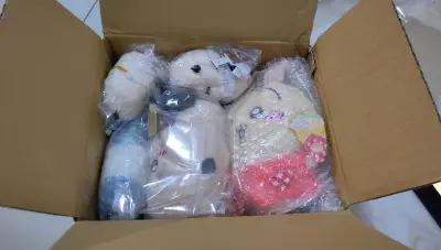 这次用的依旧是竹蜻蜓普通物流，切了满满一箱，有预感这箱子会有很多毛绒，但是当我真正开箱的时候还是震撼了一下，满满当当的一箱子娃娃，而且小物品被整整齐齐的铺在最下面非常舒适，整整齐齐的非常好，期待下一箱快递到货！