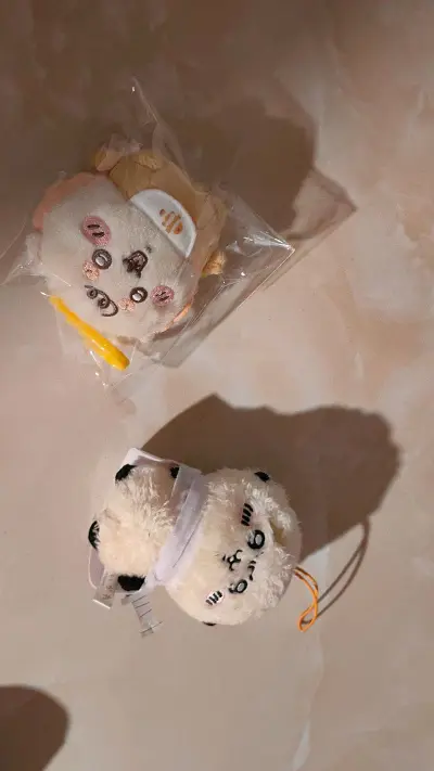 挖煤姬切的第三单，体验感很好，这单走的竹蜻蜓，包裹很严实，包裹重量多退少补，这次跳档了也没有多收，东西大部分没有损伤，竹蜻蜓合单对小食量吃谷人很友好，基本上可以合个五六单的样子，而且速度也是可以接受的。挖煤姬的页面简洁方便，适合新人用，第一次切煤体验很完美。