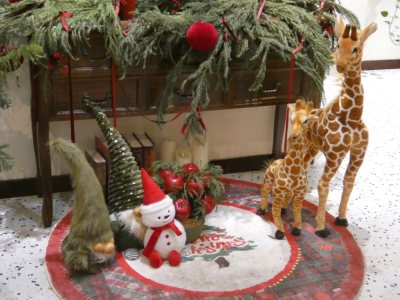 挖煤姬淘松下FZ80