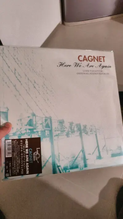 深夜点亮屏幕，指尖划过「挖煤姬」，像在东京小巷寻宝。忽见悠长假期黑胶静静上架——悠长假期的音乐令人陶醉，封面很新。果断下叉，等待化为甜蜜悬念。三周后撕开国际包裹，松脂香气漫出。指尖抚过微微发亮的沟槽，唱针落下刹那，月光与歌声一同倾泻。这跨越山海与时光的相遇，让平凡夜...