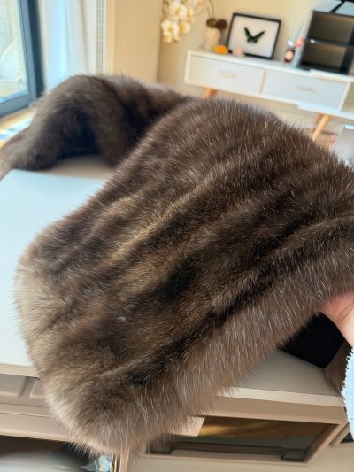 满天星紫貂闪闪发光