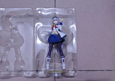 这就是我努力搬砖的动力啊！每一个月的工资，都化作了柜子里的一员。虽然钱包空空，但看着它们，我就充满了继续前行的力量