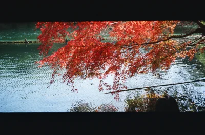 又淘到了很多喜欢的相机 开心 太实惠了 自己用刚刚好
新手友好+优惠多：全中文界面+人民币自动换算，教程详细；常发八八折、免手续费券等福利，合单功能可平摊运费，运费支持“多退少补”很贴心。