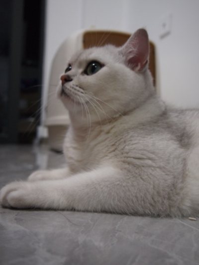 这次购物体验非常出色，整体购物过程令人满意。
物流方面：包装严实，全程可追踪，准时安全送达。
商品质量：相机配件齐全，搭配额外购买的镜头，整体成像效果清晰，操作流畅，完全符合描述。