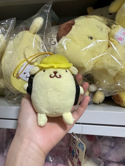 买到好喜欢的布丁狗啦！好可爱哦！在挖煤姬海淘的布丁狗太惊喜啦！下单流程超简单，客服耐心解答疑问。走竹蜻蜓物流超快，包装严实，到手完好无破损。布丁狗可爱又精致，价格比国内实惠很多，整体体验超棒，必须安利给所有三丽鸥爱好者！