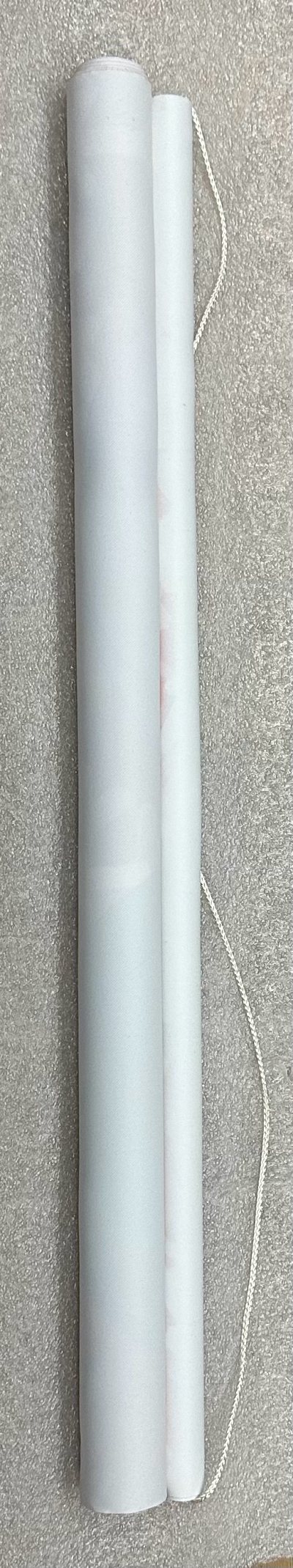 挖煤姬的第二次购物是从骏河屋购买的B2挂画，虽然是中古商品，但是品相比较完好，印刷色彩清晰，整体比较整洁，只有背面边角一点污渍。因为骏河屋的外箱比较大，所以只能发竹蜻蜓MAX，国内运输是从石家庄开始，物流速度也比较快，整体来说是一次满意的购物。