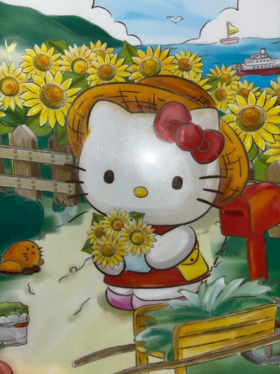 喜欢了！ 终于收到Kitty地域限定款了，做工超细腻，配色超可爱！挖煤姬的物流超快，客服态度超好，全程无槽点，下次还要来买！