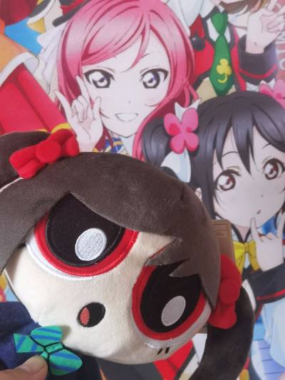 于doorzo日淘成功购入了LoveLive!矢泽妮可×飞天小女警联名限定玩偶