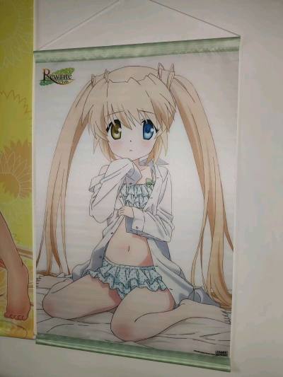 非常感谢挖煤姬，让我在骏河屋抢到了好价梦情挂画，104买到的，价格很不错，用了攒了很久的积分，ems国际邮费才40，物流速度也快，很满意