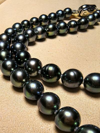 黒蝶珍珠太漂亮啦