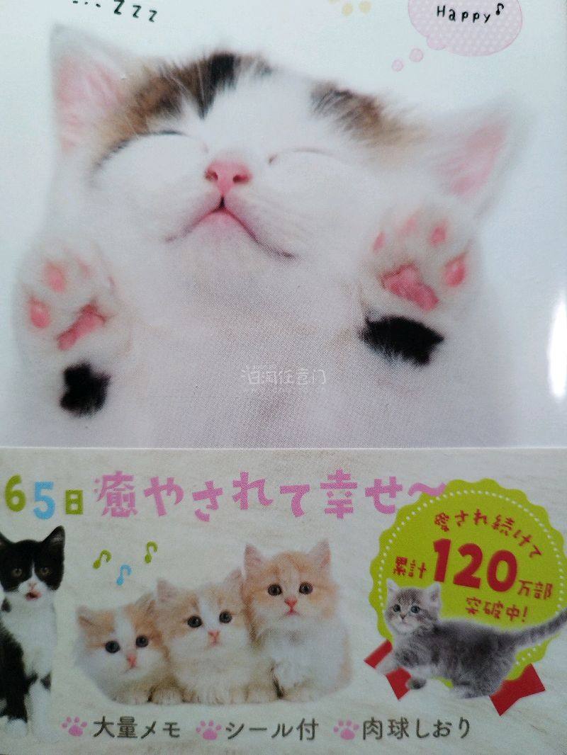 买到了喜欢的文具