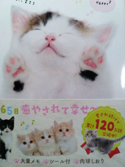 买到了喜欢的文具