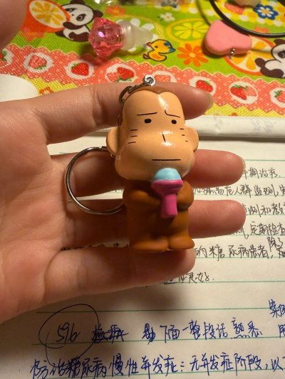 是一个日本当地的古早动画片的角色，有小兔子小猴子小猫警察超多IP，胶皮材质，质感非常不错，物流快快递，包装的也很仔细