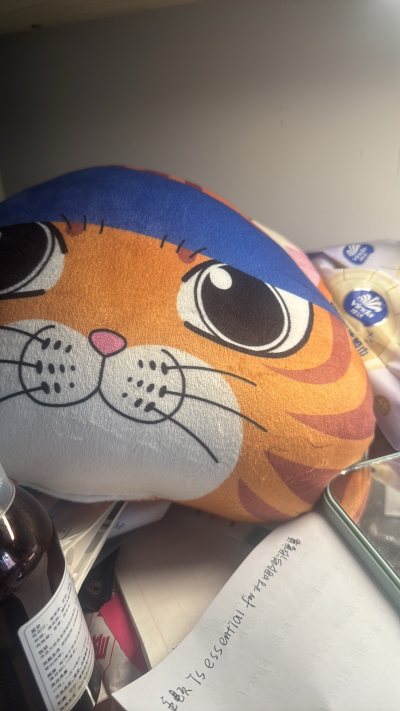 这一次，我选择挖煤姬日淘，买了四个订单，每周有免手续费的活动，四个订单都没有手续费，非常好，而且竹蜻蜓运费比其他的便宜很多，很棒