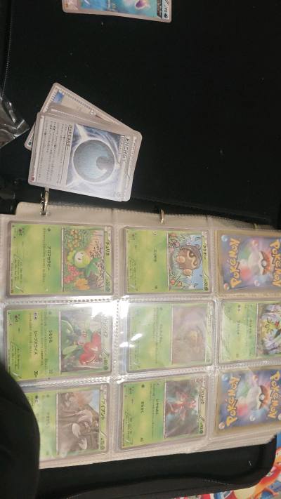 第五次日本海淘