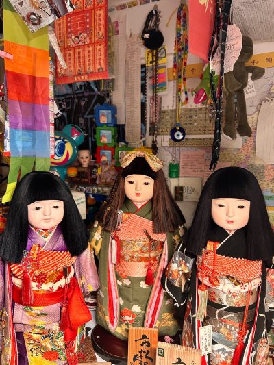 宝宝们到家了！