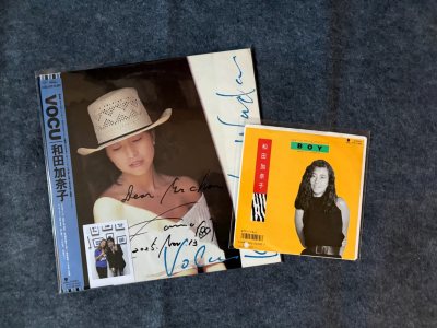 近期都在收黑胶，蛮多都是捡漏的价格。依旧选择了海运，从发货到收到货在1个月内。以后还会使用海运，包装还是很到位。