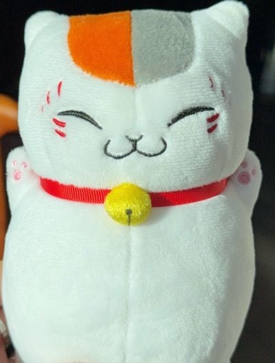 非常特别的一次购物体验！买到了特别喜欢的毛绒玩具！收到以后实物和图片一模一样！猫咪老师白白胖胖的没有污渍吊牌也齐全，小铃铛是立体的，特别可爱！物流选择了竹蜻蜓，这次到货特别快大概20天左右就收到啦！