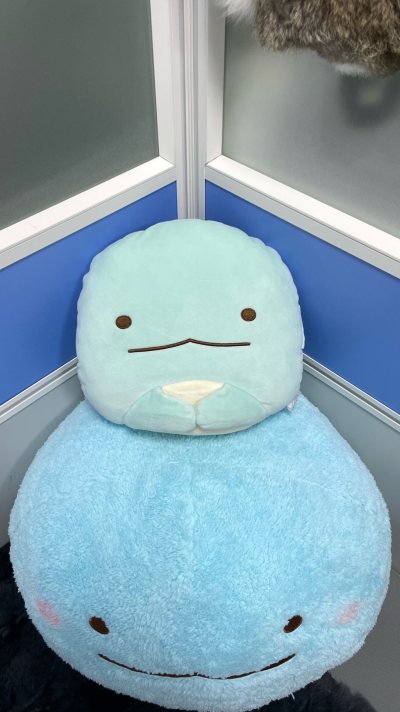 超级开心哒，收到这么可爱的坐垫和会魔法的水龙宝宝！到货了心情超级好qwq每天就是rua，希望能收到包子水龙！