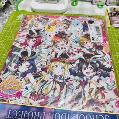 这次淘的LoveLive 2018感谢祭大尺寸海报也太绝了！这么大的海报，挖煤姬用硬筒+气泡膜双层包装，到手一点折痕都没有，印刷和烫金细节完美复刻原版质感。
从日本卖家下单到国内收货，合单、物流全程透明，冷门的绝版周边也能轻松挖到，操作还特别简单，小白也能无脑冲。日...