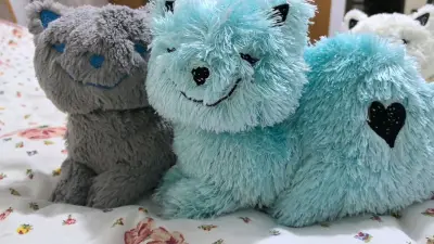 这次不知道选了什么服务，竟然没让我交税，大晚上刷挖煤姬才发现已经到货了，超级迅速，简直是畅通无阻，去快递点的时候其实已经关门了，还是值班小哥帮我开的门，总算是收到蓝绒绒了，打包得非常好，毛非常亮，摸起来凉凉的，非常好的一次购物体验